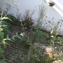 45513_10-tuin.jpg