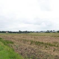 00046725-0001.jpg