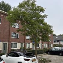 ObjectFoto.46713.6.jpg