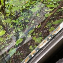 46618_5-image-jpeg.jpg