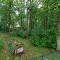 ObjectFoto.46991.5.jpg