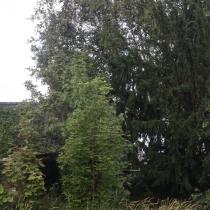 ObjectFoto.44903.06.jpg