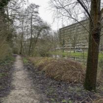ObjectFoto.44720.b.jpg