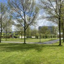ObjectFoto.45310.c.jpg