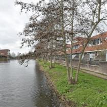 ObjectFoto.46021.6.jpg