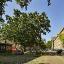 ObjectFoto.46113.5.jpg