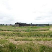 00046725-0002.jpg
