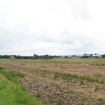 ObjectFoto.46726.4.jpg