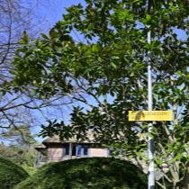 ObjectFoto.46663.7.jpg